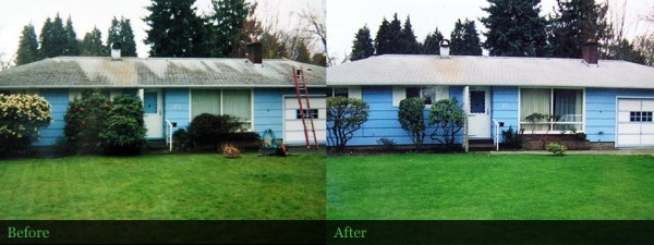 Composite roof cleaned in Springfield, OR